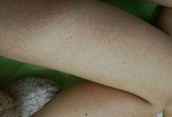 吃鸡皮肤爆料最新龙,揭秘最新吃鸡皮肤龙之奥秘