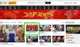 爆料舞台免费播放视频,免费播放视频背后的精彩瞬间