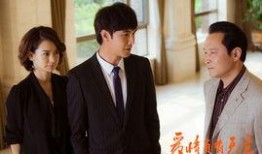 电视剧爱情自有天意在线观看,浪漫邂逅，命运交织的甜蜜旅程