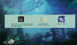 萤火虫光锥爆料视频,神秘生物的奇妙之光