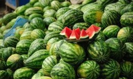 三水区网红吃瓜事件最新,揭秘背后真相与网络舆论风暴