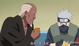 火影忍者雷影爆料视频,雷影独家爆料，揭秘忍界秘辛与未来动向