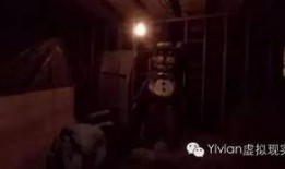 如何处理恐怖视频爆料,策略与行动指南