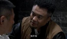 电视剧血刃全集在线观看,揭秘暗战风云，热血激战背后的真相
