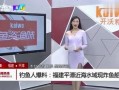 钓鱼爆料视频大全集下载,揭秘垂钓技巧与精彩瞬间