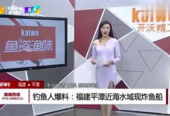 钓鱼爆料视频大全集下载,揭秘垂钓技巧与精彩瞬间