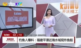 钓鱼爆料视频大全集下载,揭秘垂钓技巧与精彩瞬间