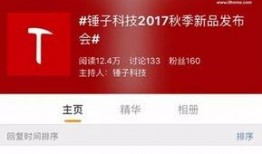 老罗最新爆料锤子,老罗最新爆料揭示神秘功能与设计革新”